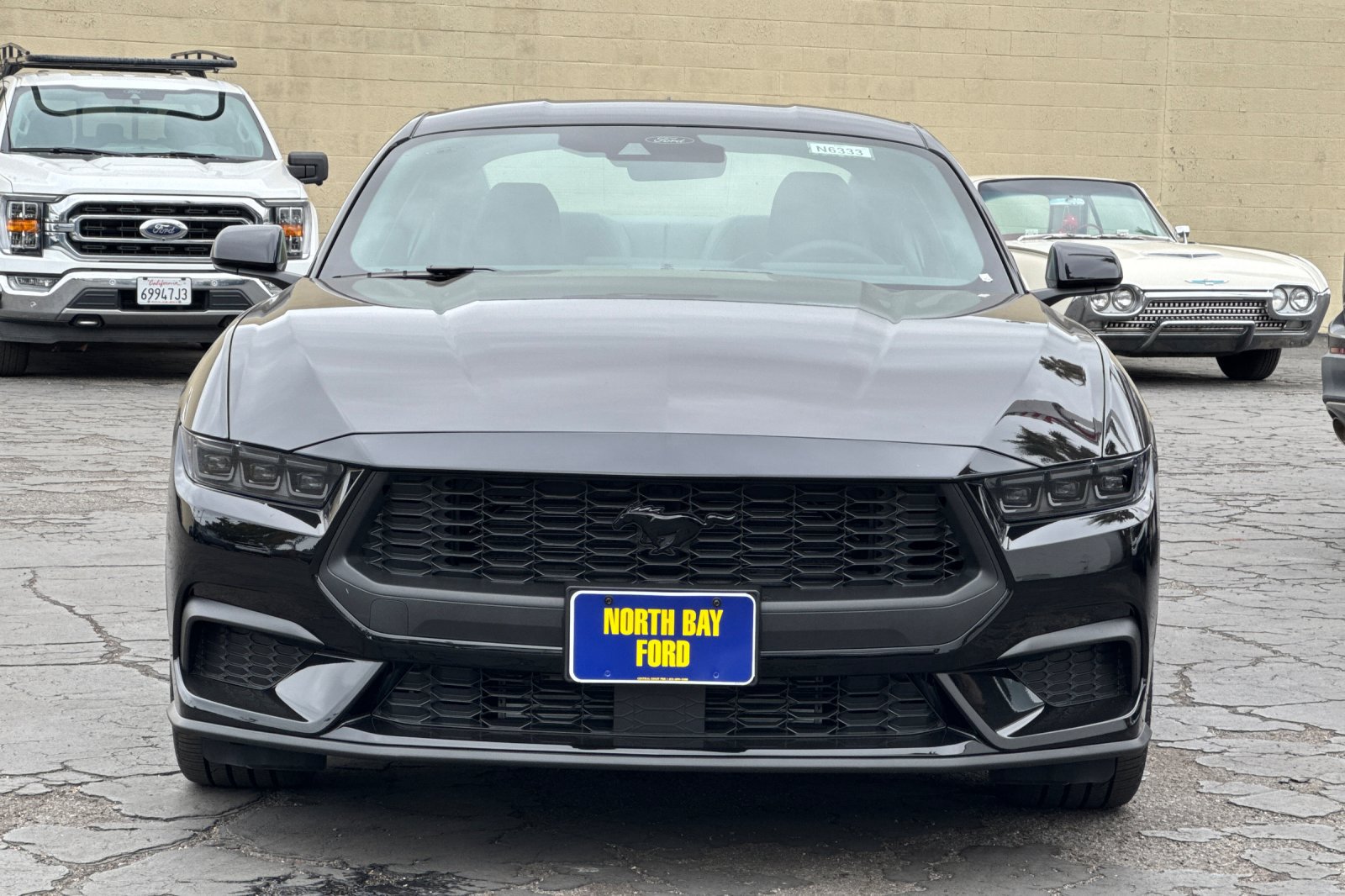 New 2026 Ford Mustang Premium w/ Mustang Nite Pony Package RWD image 9