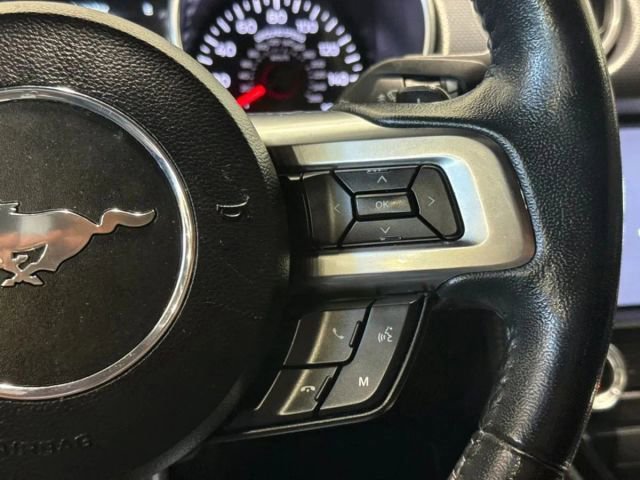 Used 2019 Ford Mustang EcoBoost w/ Equipment Group 101A image 15