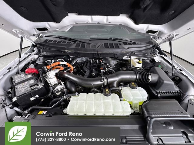 New 2025 Ford F150 XLT w/ Equipment Group 303A High image 33