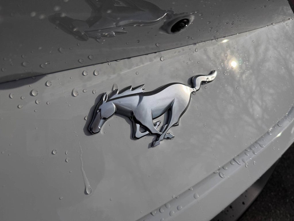 New 2026 Ford Mustang Coupe RWD image 14