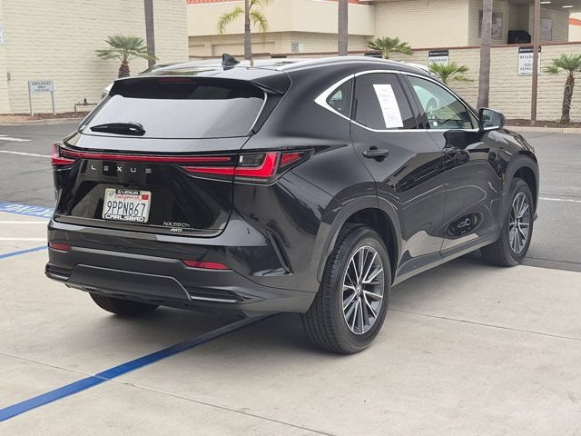 Used 2025 Lexus NX 350h AWD w/ Cold Area Package image 5