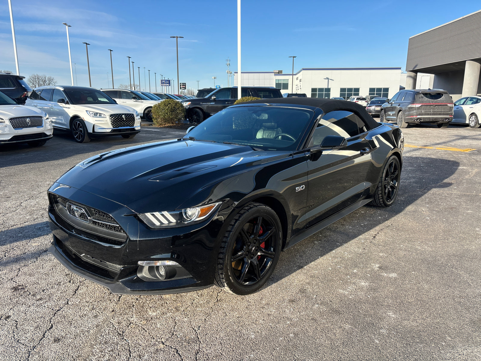 Used 2015 Ford Mustang GT Premium w/ Equipment Group 401A image 3
