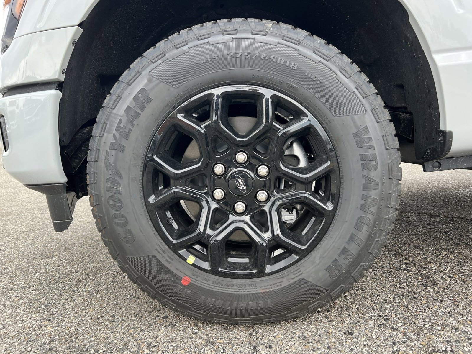 New 2026 Ford F150 XLT w/ Equipment Group 302A MID image 12