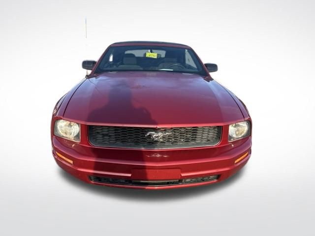 Used 2006 Ford Mustang Convertible image 6