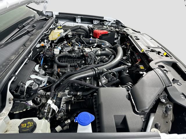 New 2025 Ford Ranger XLT w/ Equipment Group 301A High image 19