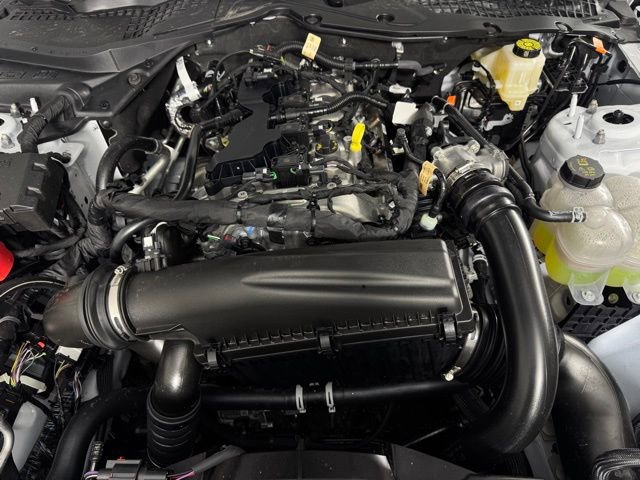 New 2026 Ford Mustang Premium w/ Mustang Nite Pony Package image 9