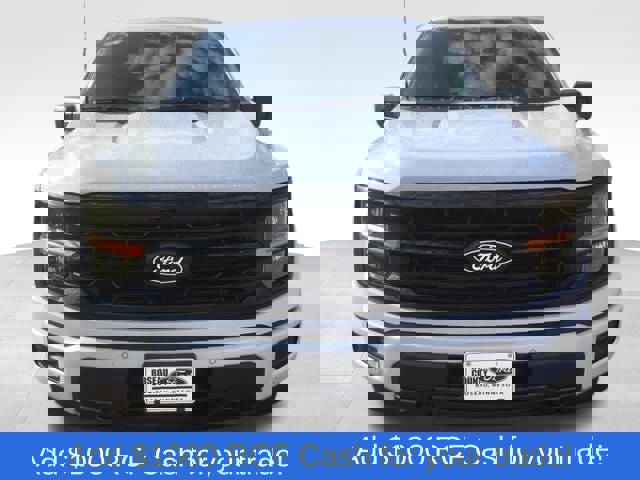 New 2025 Ford F150 XLT image 2