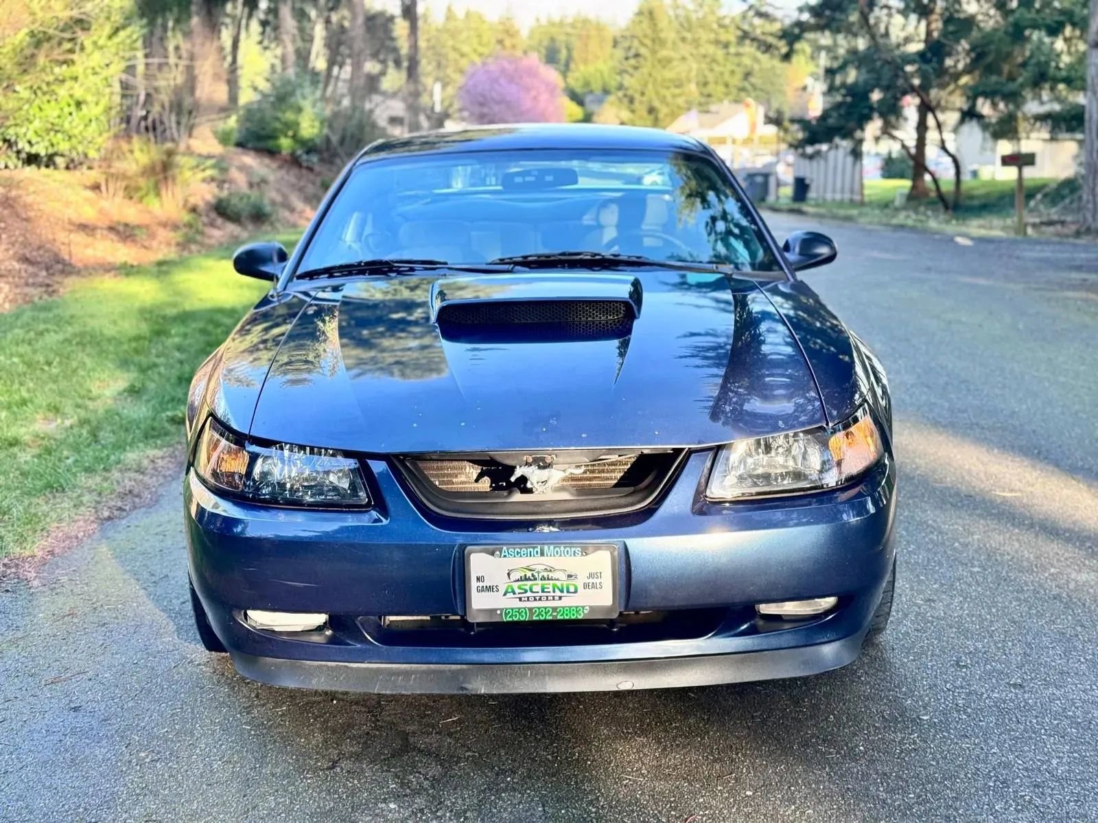 Used 2002 Ford Mustang Coupe RWD image 8