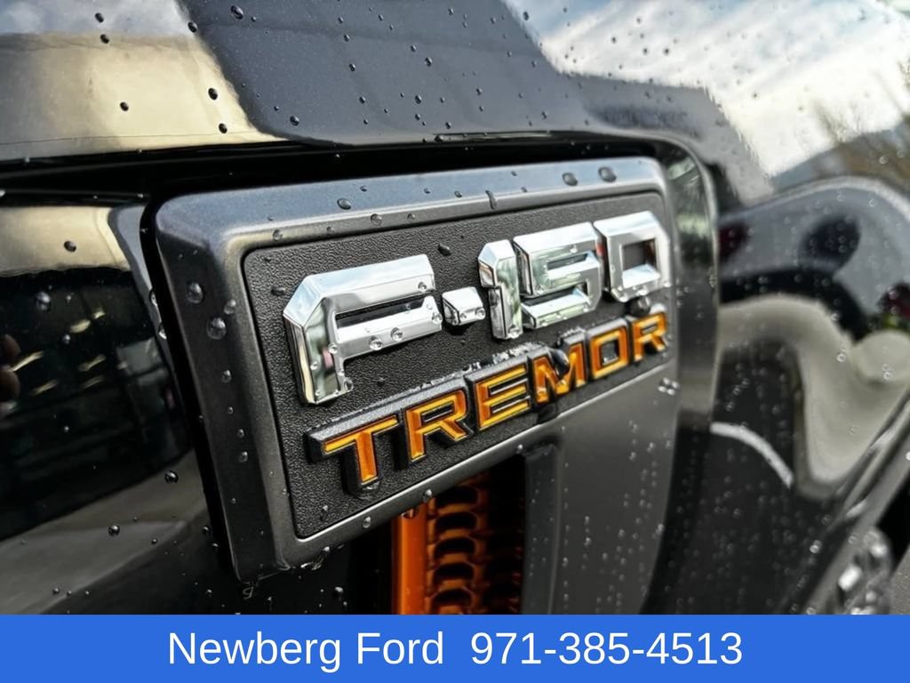 Used 2025 Ford F150 Tremor AWD/4WD image 11