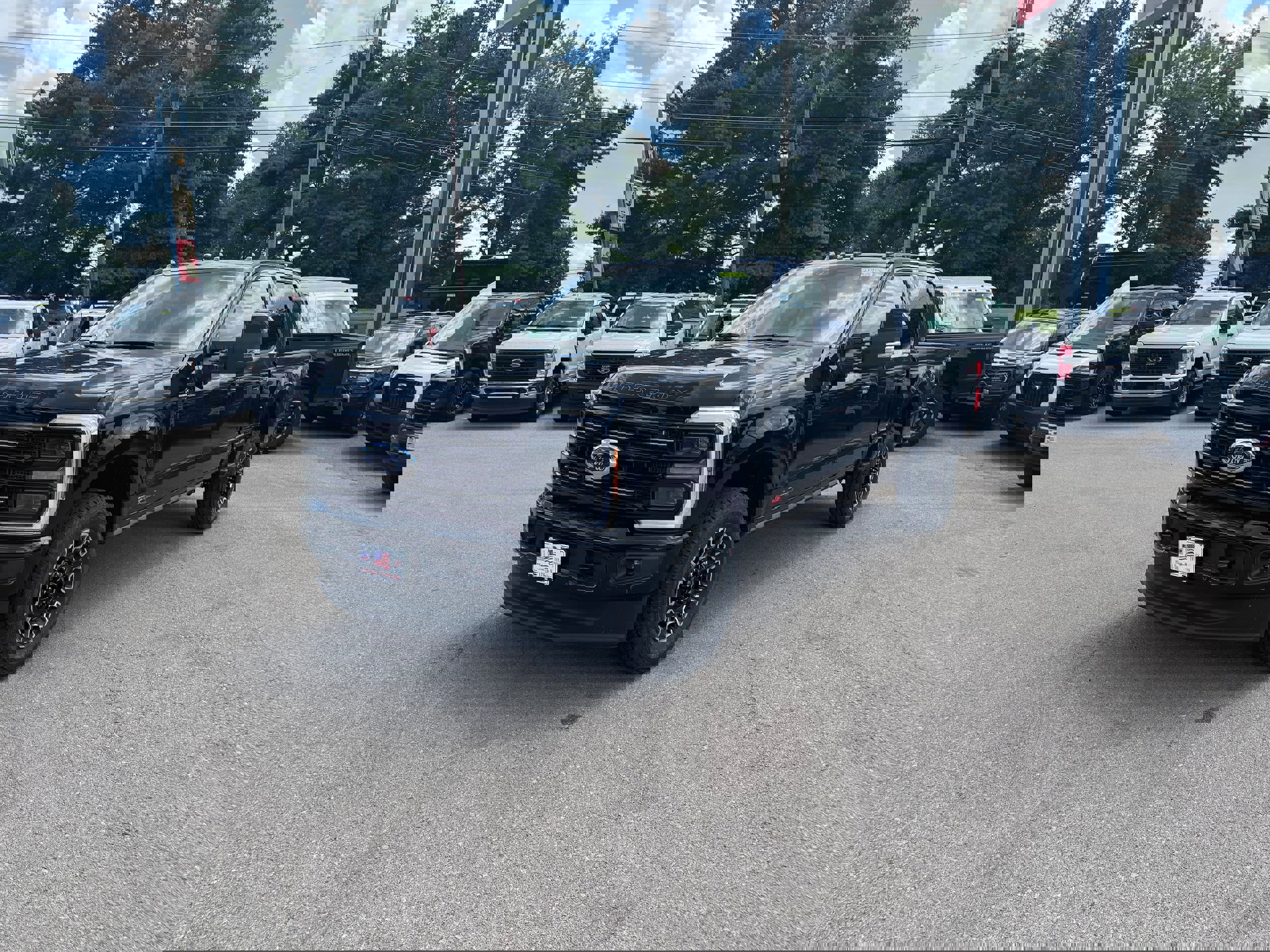 New 2025 Ford F250 Platinum image 6