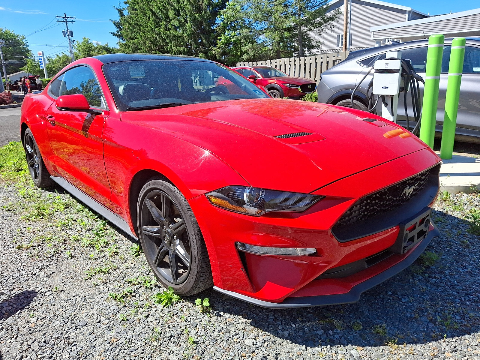 Used 2019 Ford Mustang Premium w/ Equipment Group 201A RWD image 3