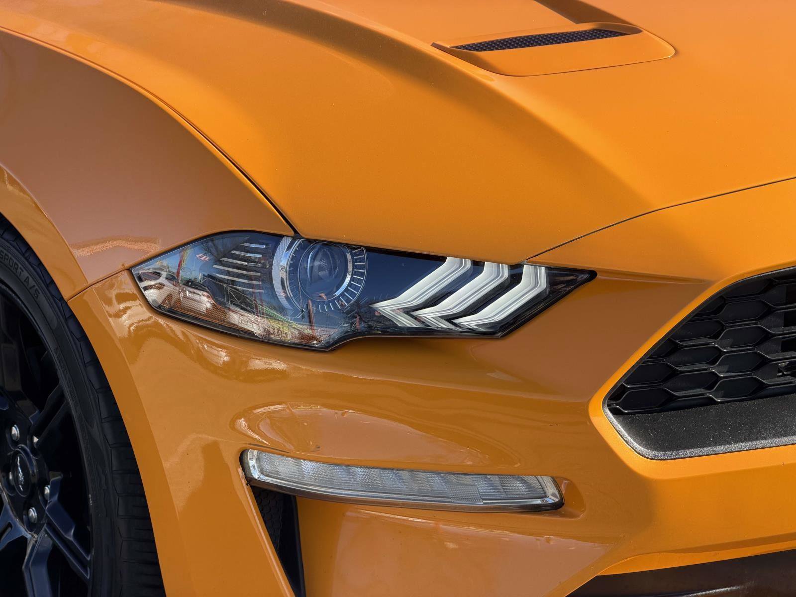 Used 2019 Ford Mustang Coupe w/ Black Accent Package image 10