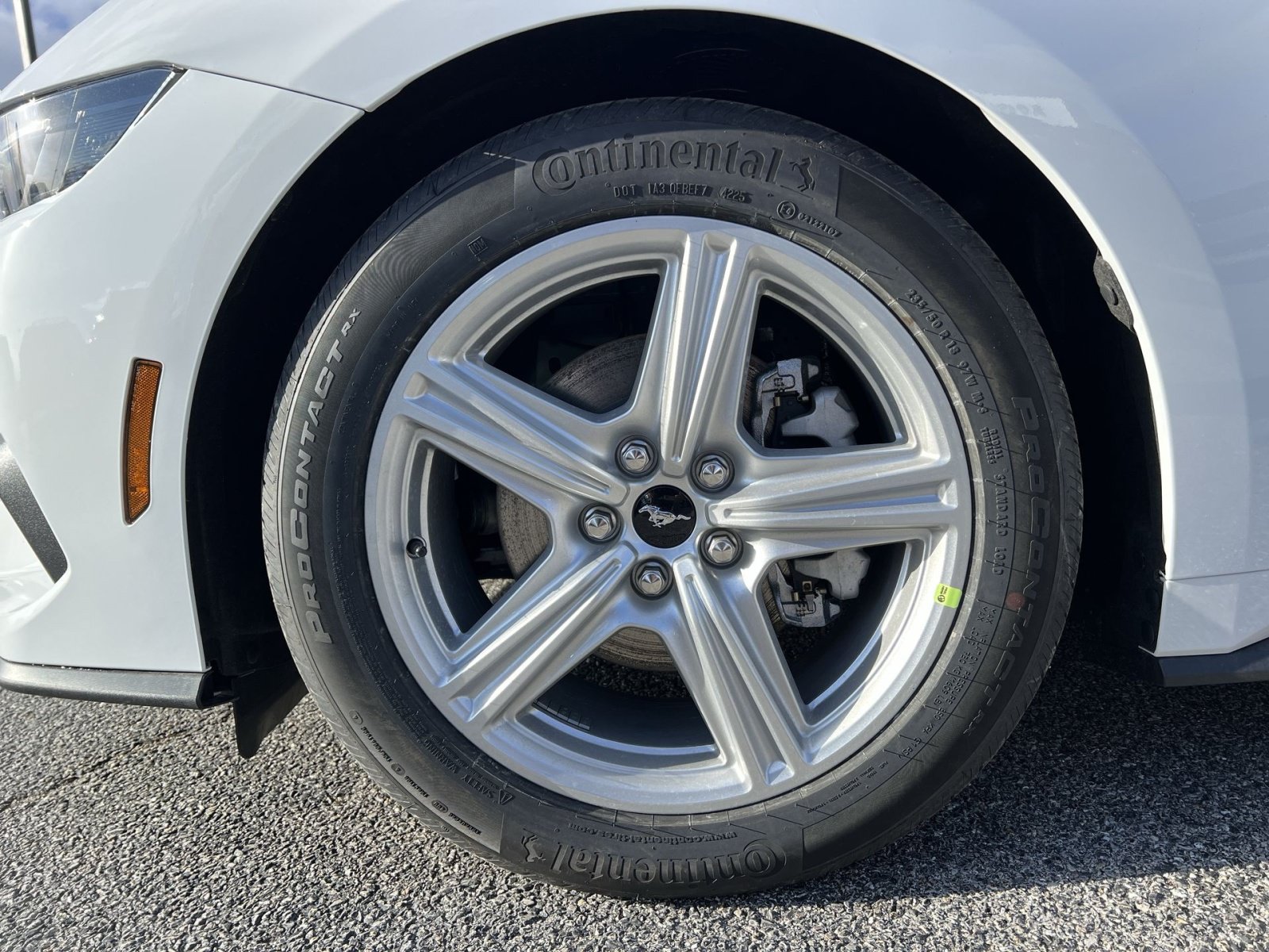 New 2026 Ford Mustang Coupe RWD image 12