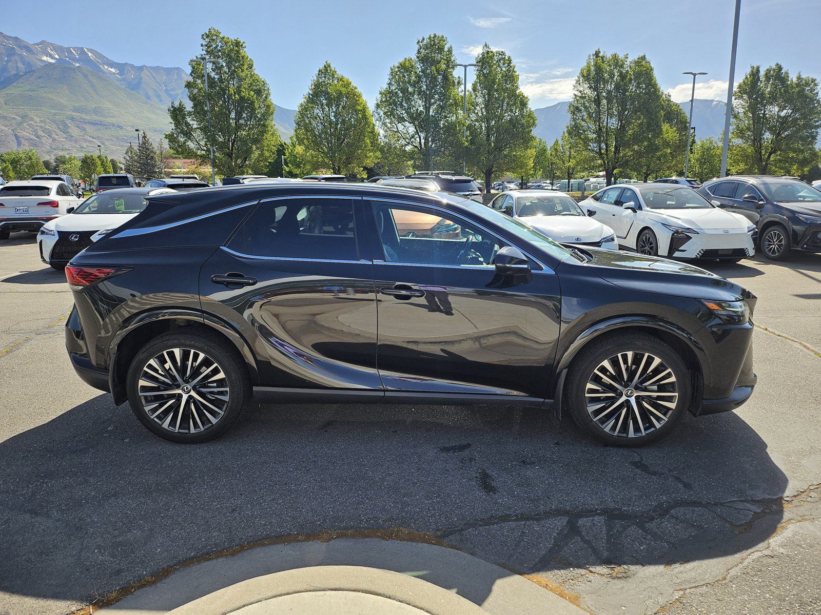 Used 2024 Lexus RX 350 Premium Plus w/ Convenience Package AWD/4WD image 4