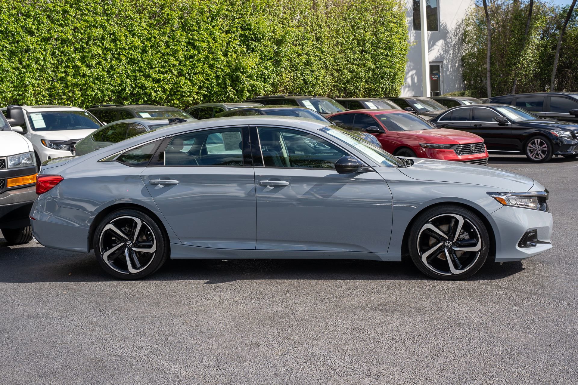 Certified 2022 Honda Accord Sport Special Edition image 4