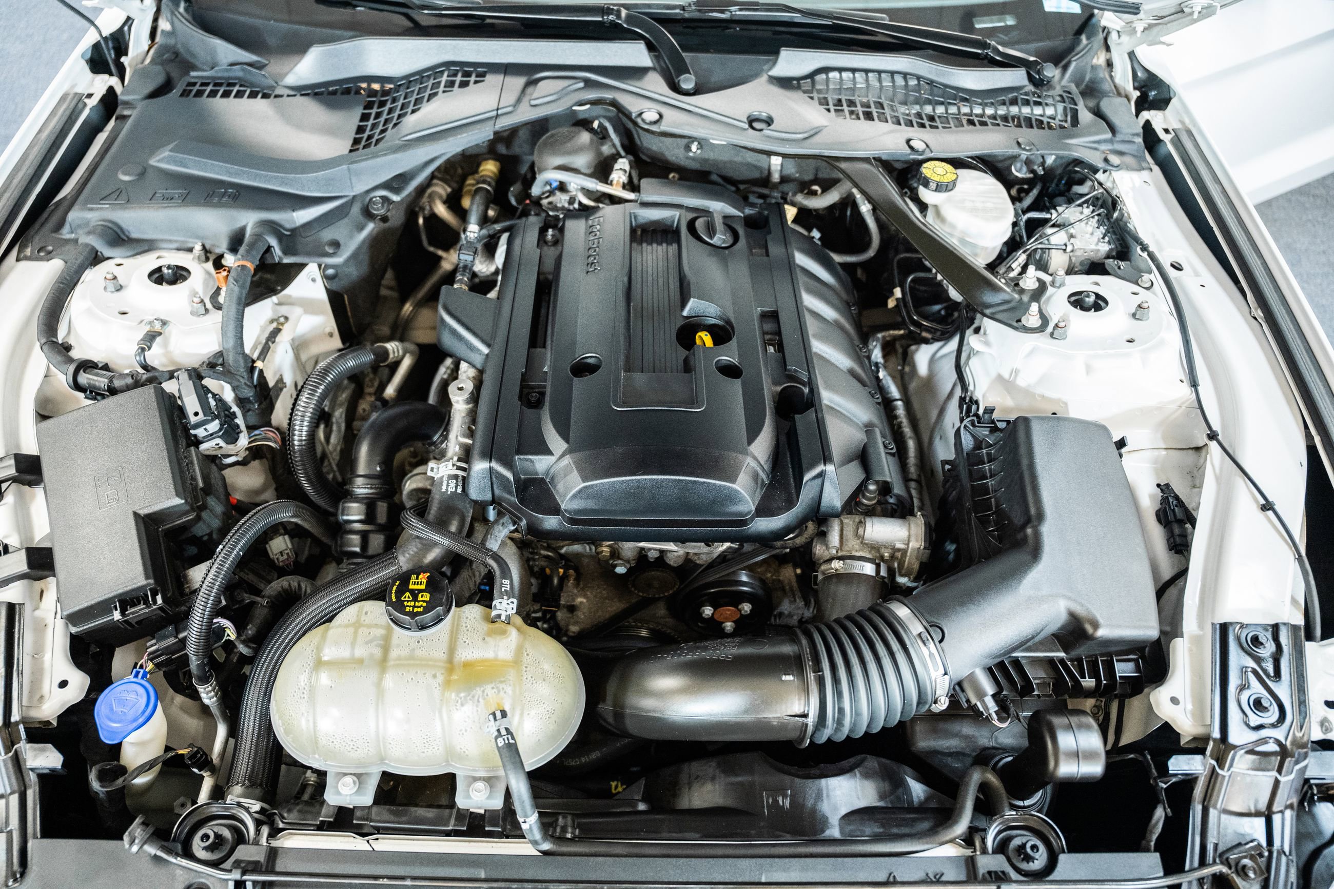 Used 2020 Ford Mustang Premium image 28