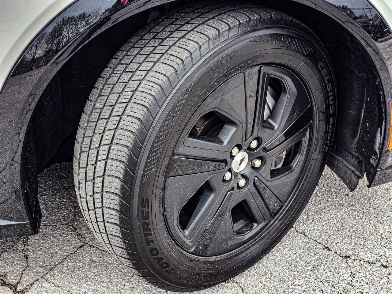 Used 2021 Ford Mustang Mach-E California Route 1 image 10