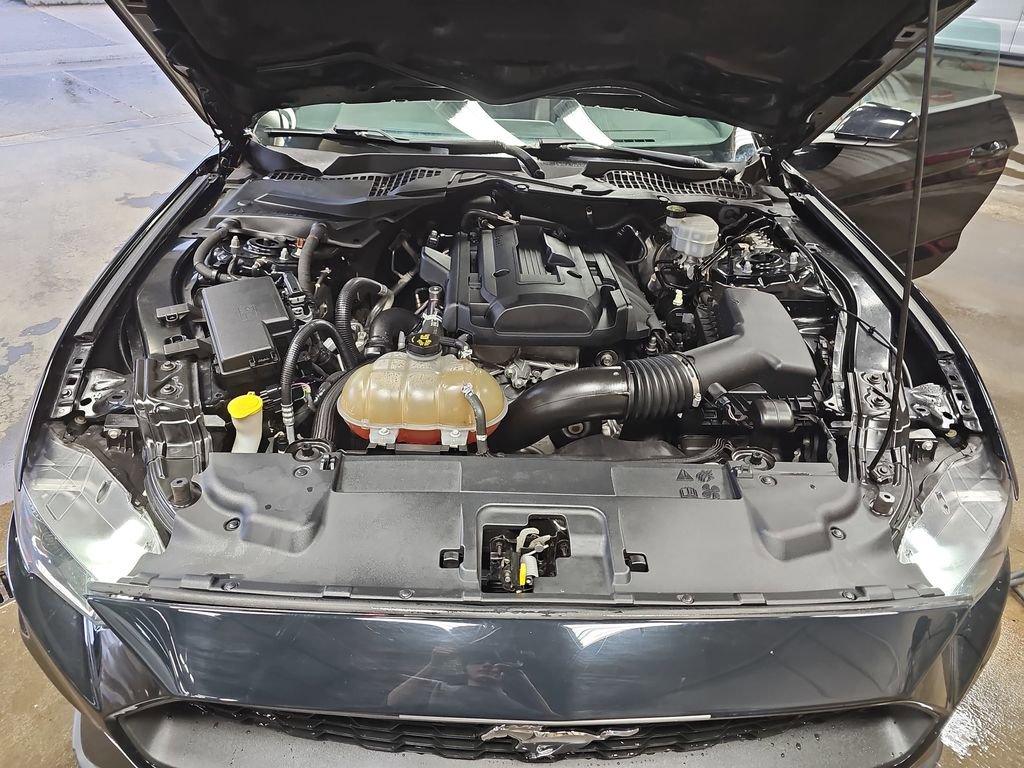 Used 2019 Ford Mustang Premium RWD image 29