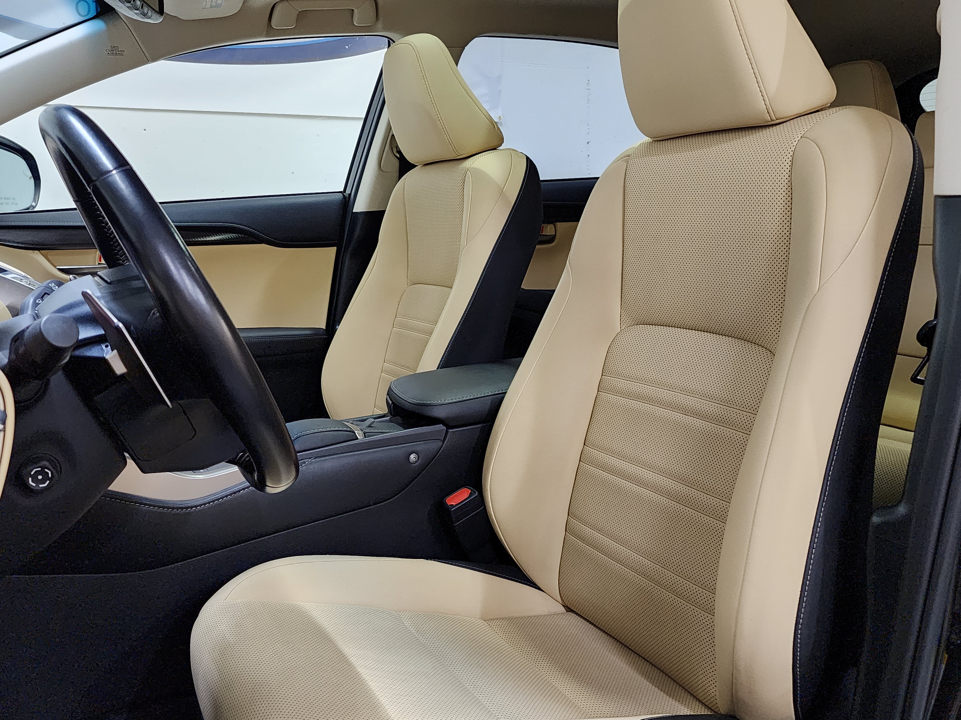 Used 2019 Lexus NX 300h AWD w/ Premium Package image 16
