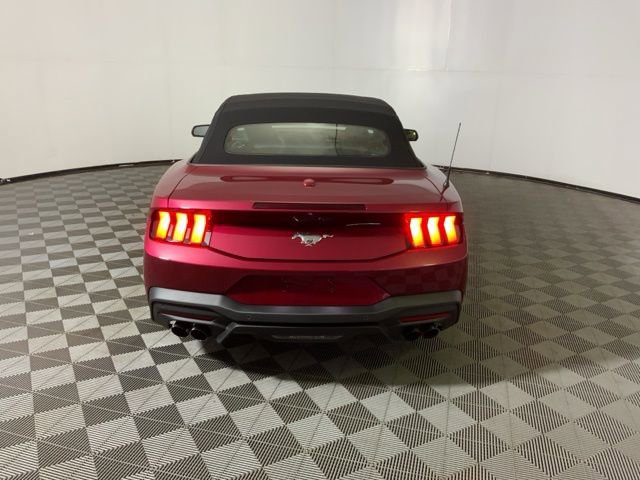 New 2026 Ford Mustang Premium image 9