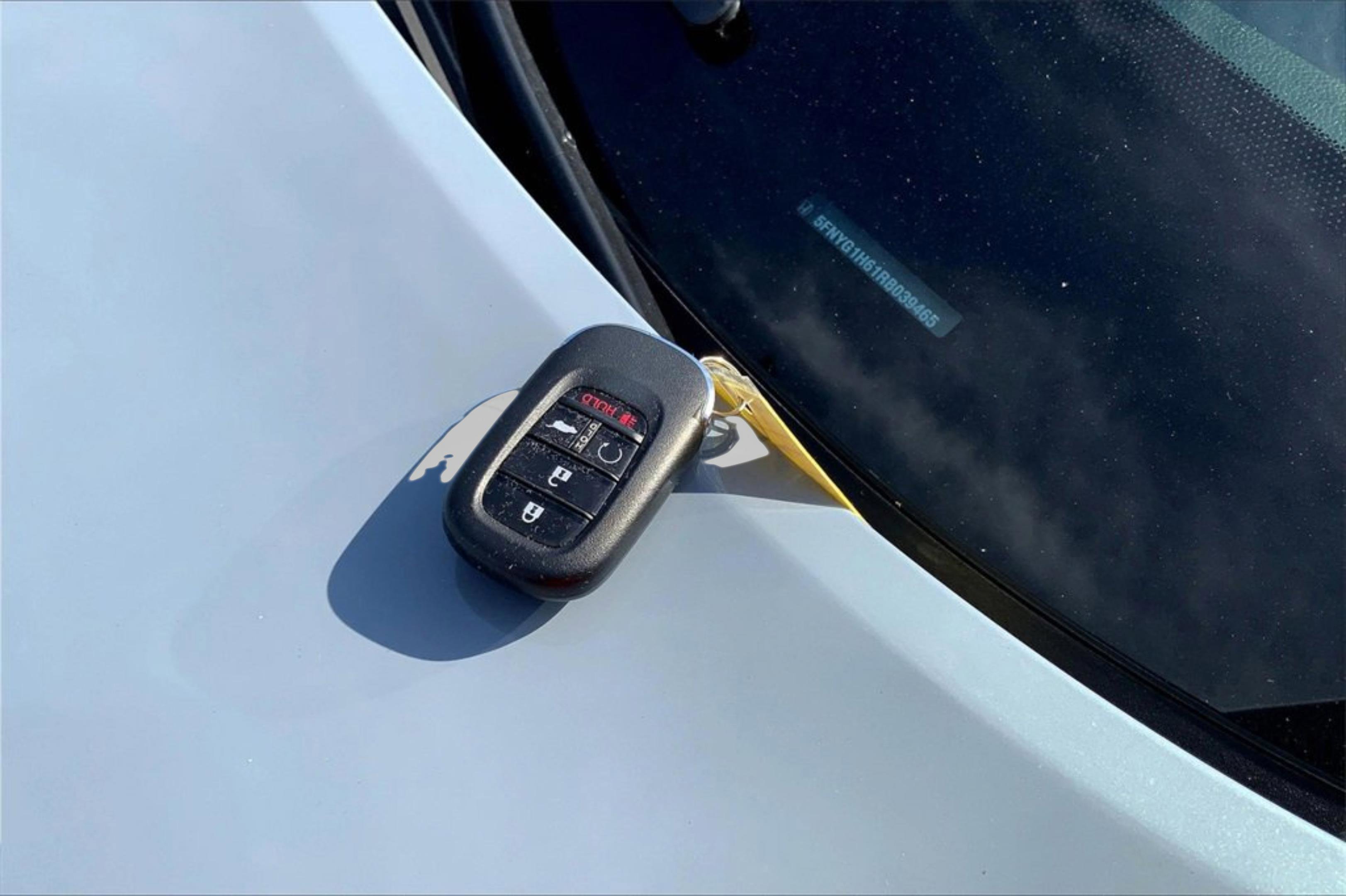 Used 2024 Honda Pilot TrailSport image 14