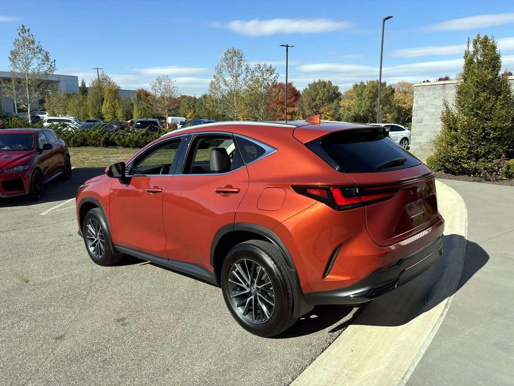 Used 2023 Lexus NX 250 250 Premium image 5
