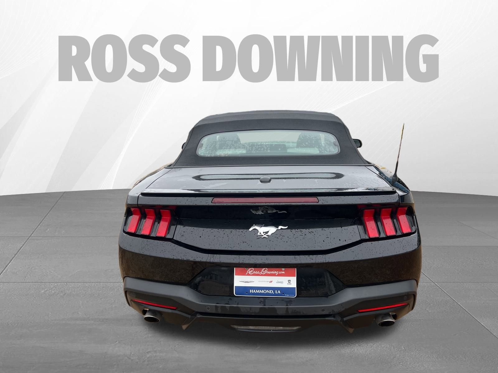 Used 2024 Ford Mustang Premium image 5