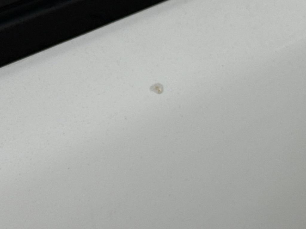 Used 2002 Volvo S40 image 31