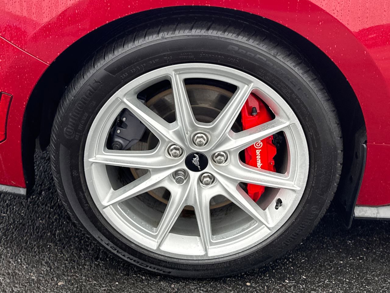 Used 2024 Ford Mustang GT Premium image 10