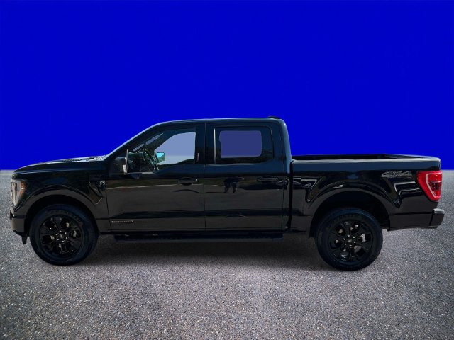 Certified 2023 Ford F150 XLT w/ Equipment Group 302A High AWD/4WD image 6