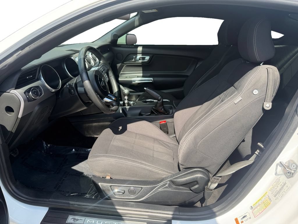 Used 2019 Ford Mustang GT w/ Equipment Group 301A RWD image 10