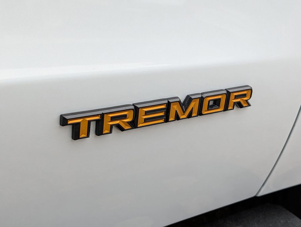 Used 2025 Ford Expedition Tremor AWD/4WD image 15