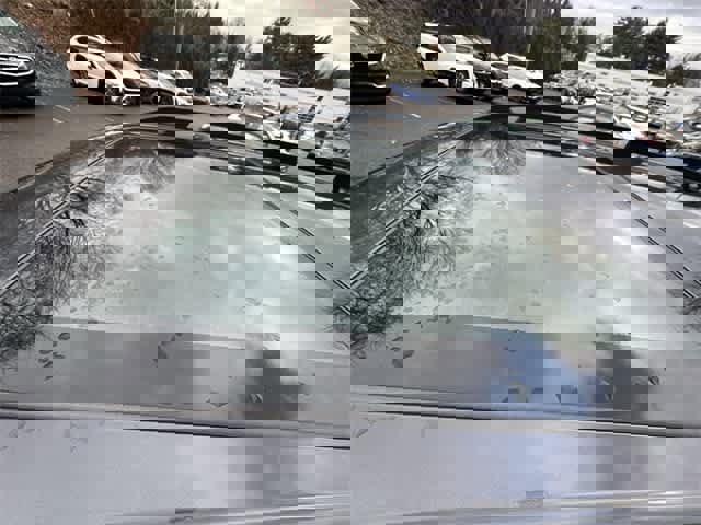 Certified 2023 Subaru Forester Premium image 6