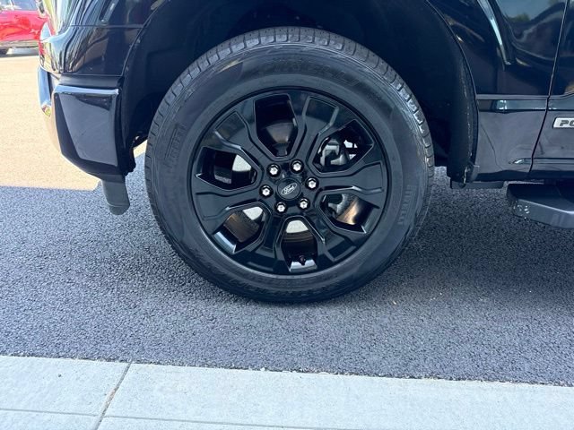 Used 2023 Ford F150 XLT w/ Equipment Group 302A High AWD/4WD image 7