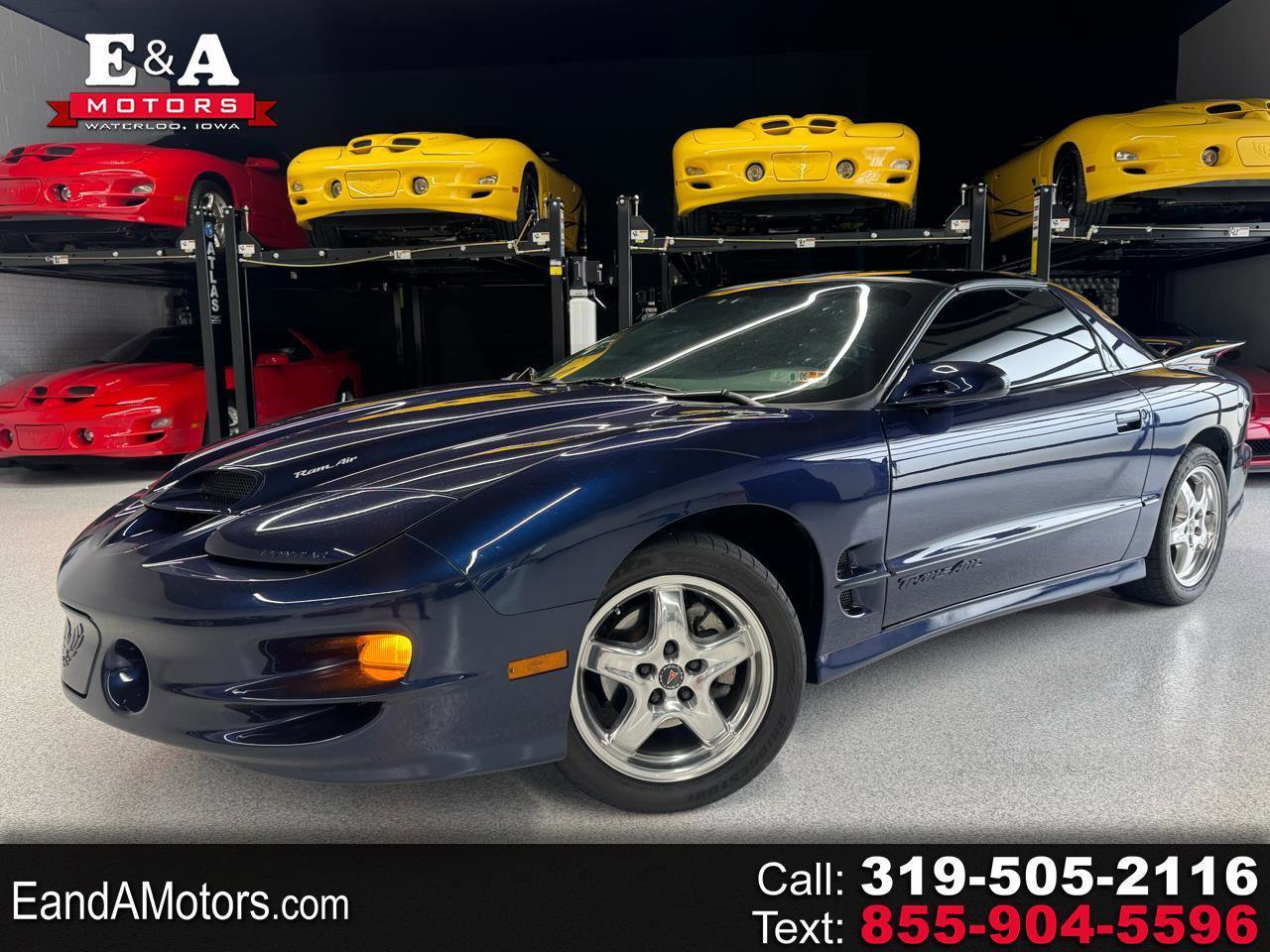 Used 2002 Pontiac Firebird Trans Am