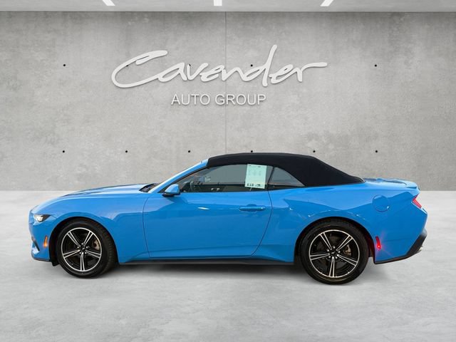 Used 2024 Ford Mustang Premium RWD image 14