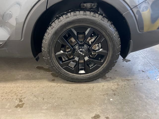 Used 2024 Kia Telluride SX Prestige X-Pro image 19