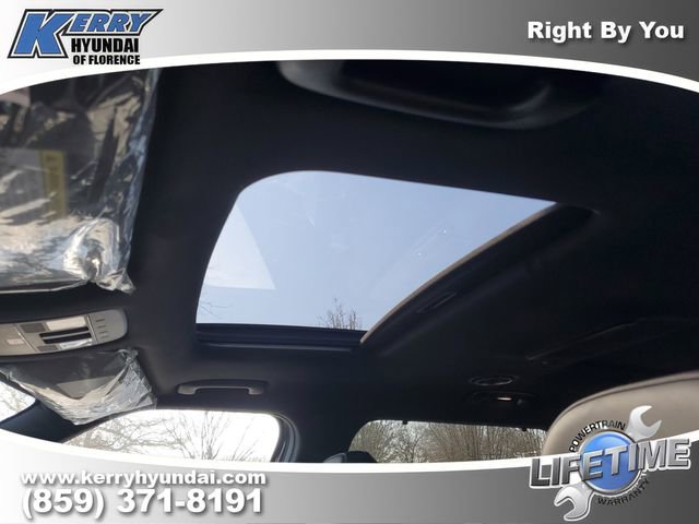 New 2026 Hyundai Palisade Calligraphy image 19