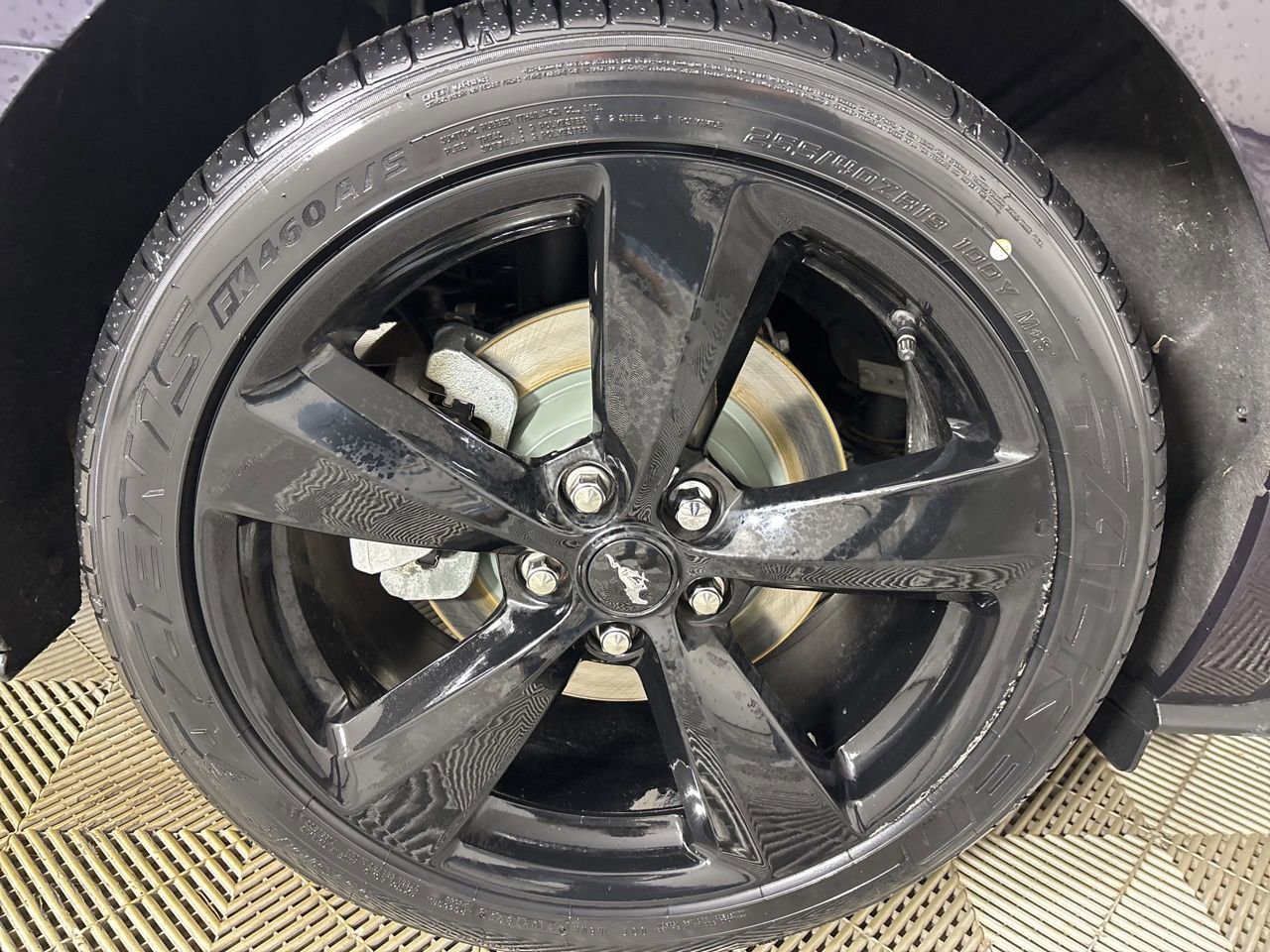 Used 2023 Ford Mustang Coupe w/ Equipment Group 101A image 29