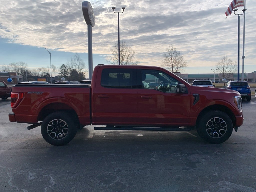 Used 2023 Ford F150 XLT w/ Equipment Group 302A High image 2