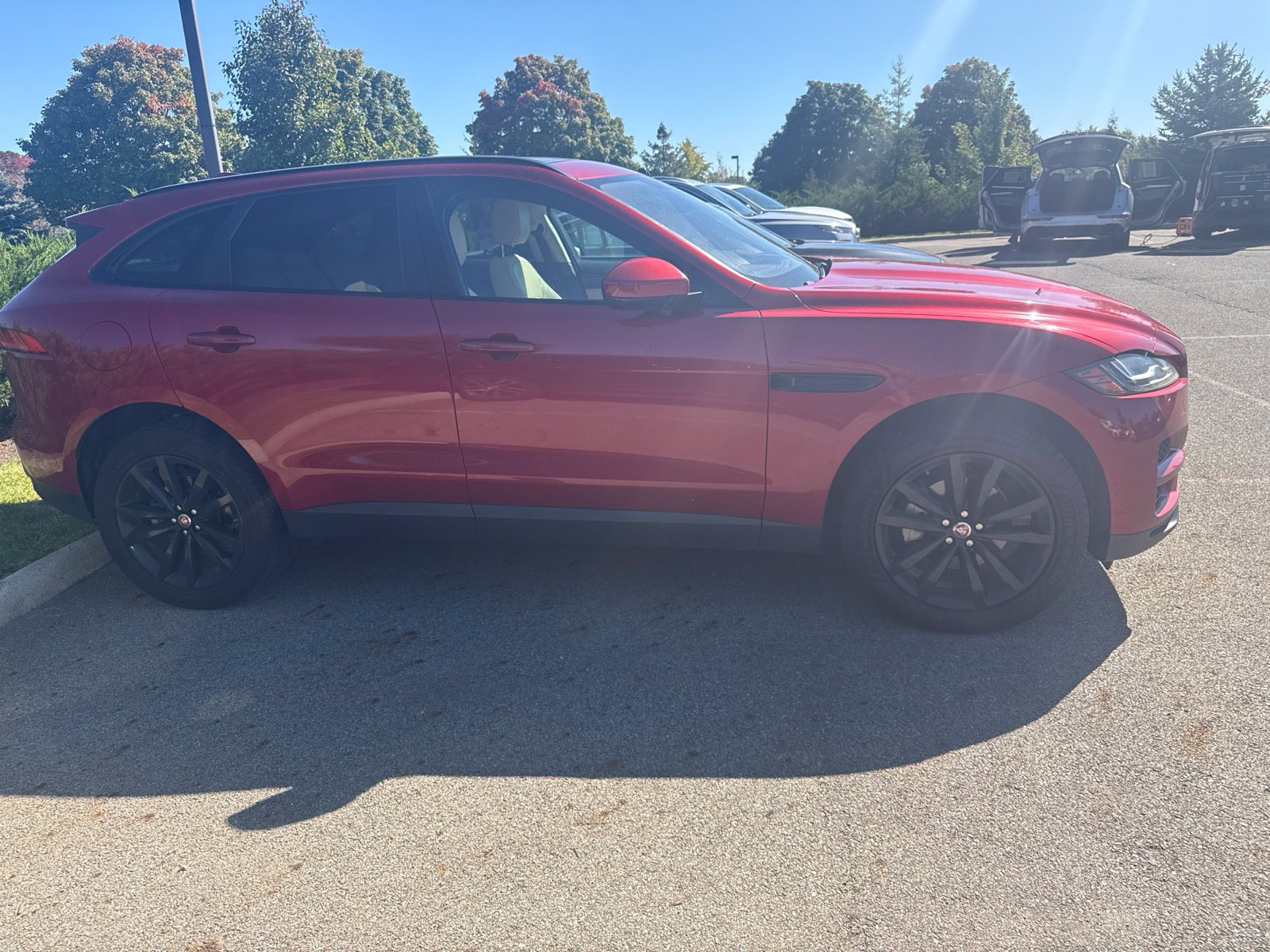Used 2019 Jaguar F-PACE Prestige AWD/4WD image 4