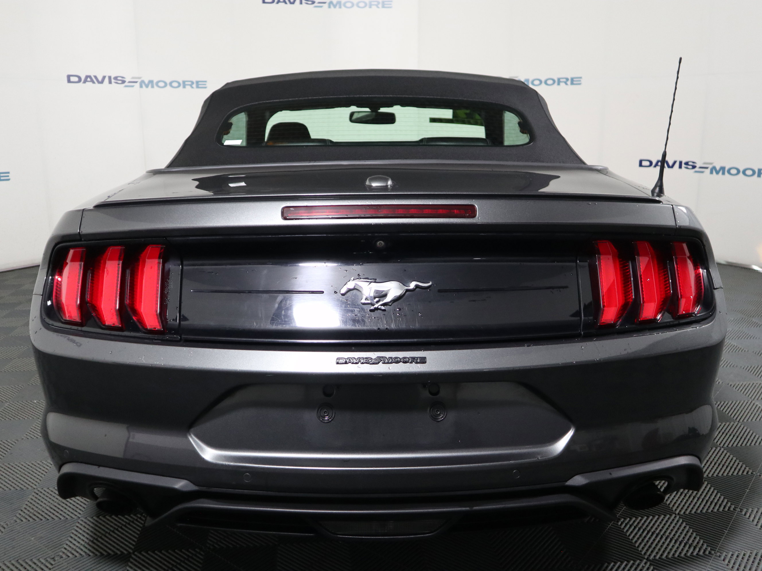Used 2019 Ford Mustang Premium image 7