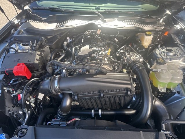 New 2026 Ford Mustang Coupe w/ Bronze Appearance Package image 30