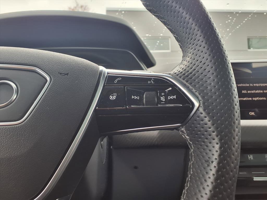 Used 2024 Audi RS e-tron GT image 15
