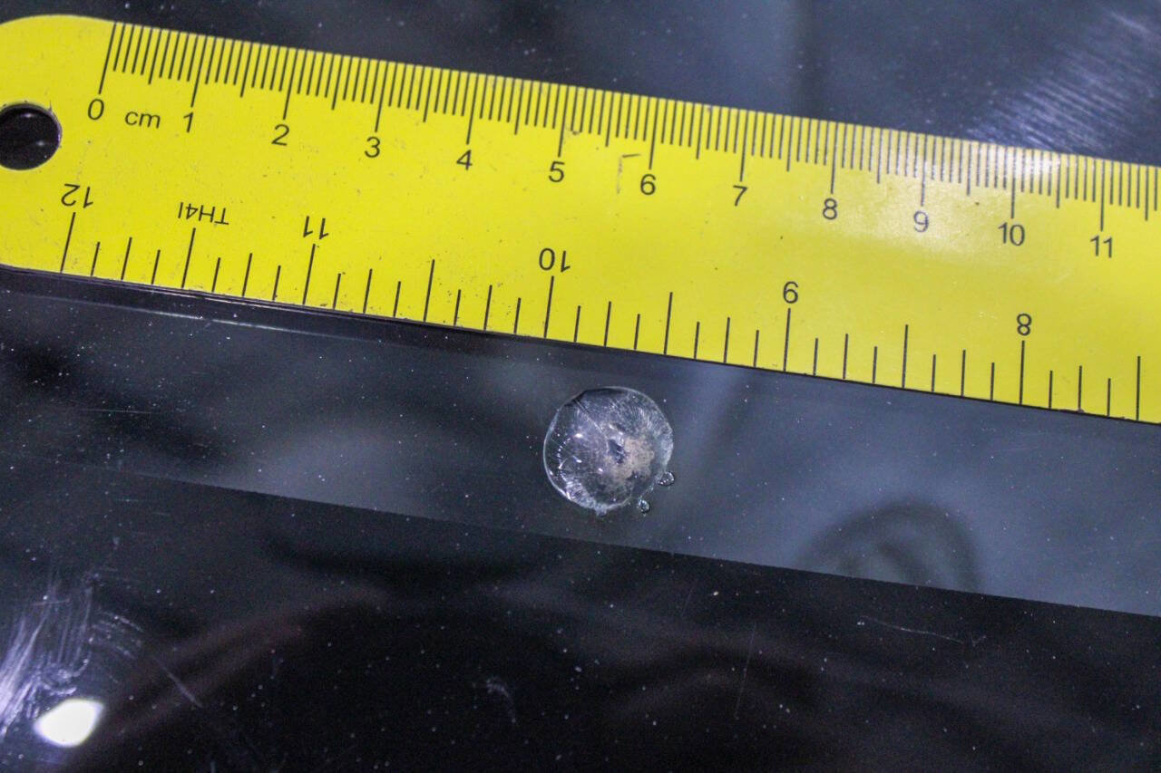 Used 1999 Dodge Dakota Sport image 32