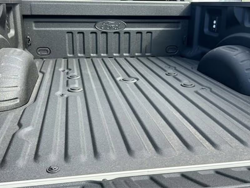 New 2025 Ford F250 Platinum image 11