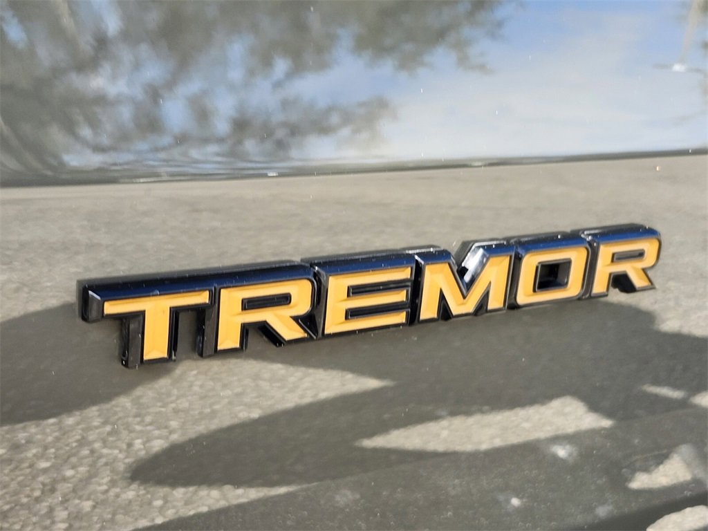 Used 2025 Ford Expedition Tremor image 19