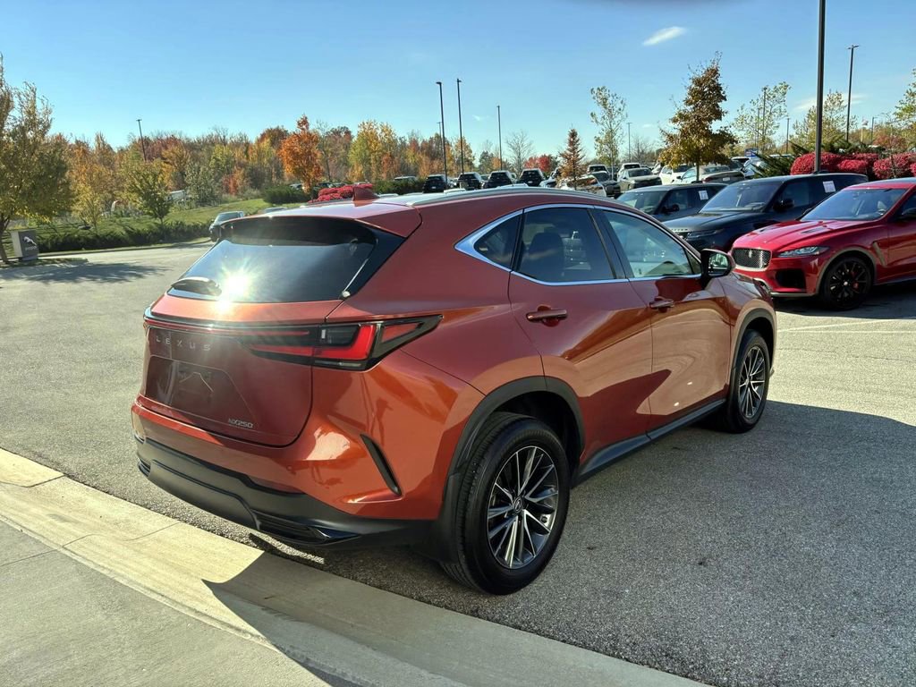 Used 2023 Lexus NX 250 250 Premium image 7