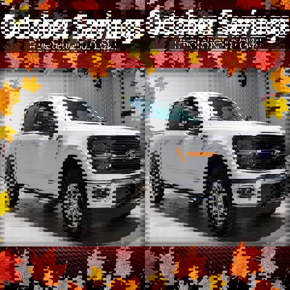 Used 2024 Ford F150 XLT w/ Equipment Group 302A MID image 44