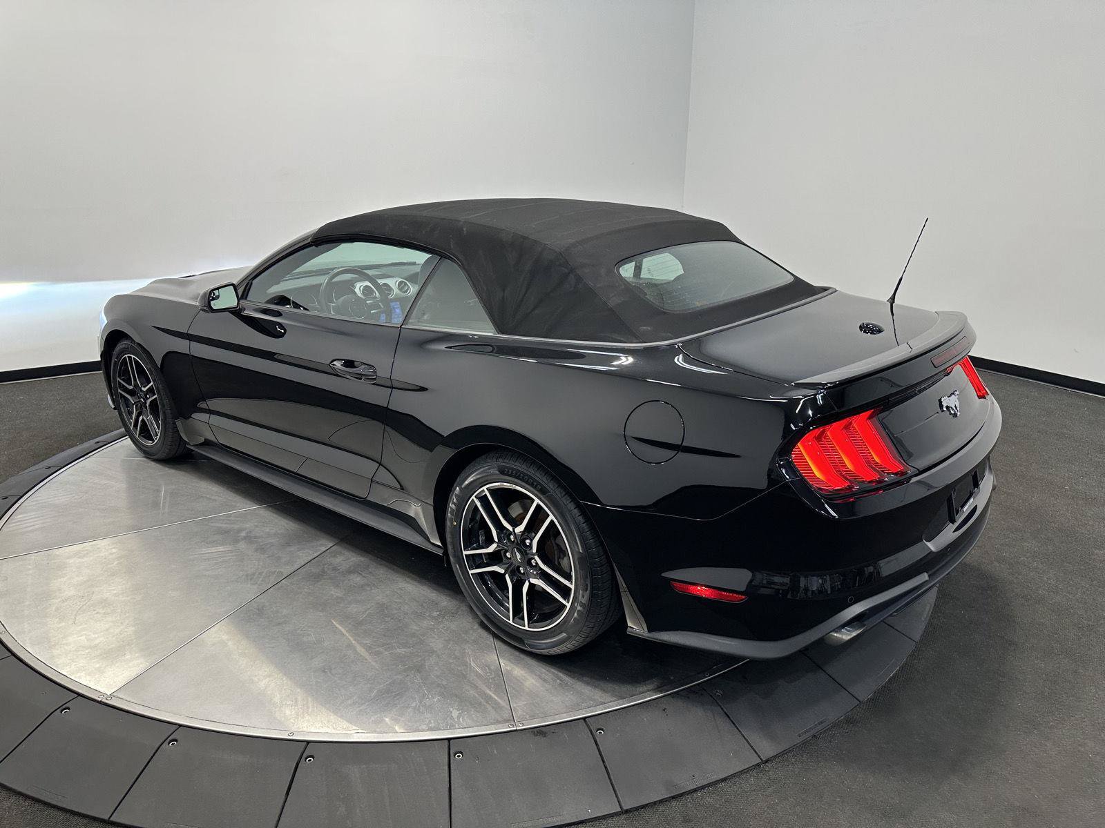 Used 2019 Ford Mustang Premium RWD image 5